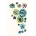 thumbnail image 3 of Popp, Grace 16x24 Black Modern Framed Museum Art Print Titled - Succulent Cluster I, 3 of 5