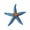 Blue, variant on Sea Star Diving Toys Sea Star Pool Toys Colorful Sea Star Set With Gold Mesh Bag Summer Swimming Diving Toy Set Diving Throwing Toy Set Underwater Swimming Toys