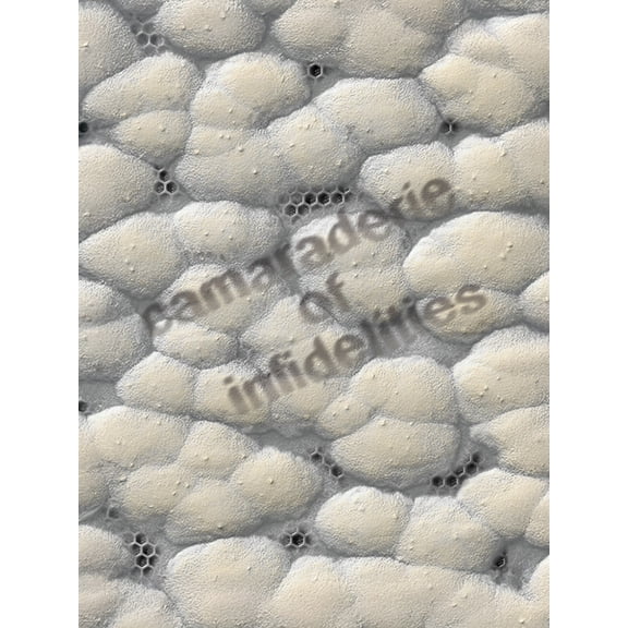 Camaraderie of Infidelities, (Paperback)