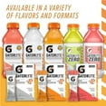 thumbnail image 2 of Gatorlyte Zero Electrolyte Beverage Variety Pack, 20 fl oz, 12 Pack Bottles, 2 of 6