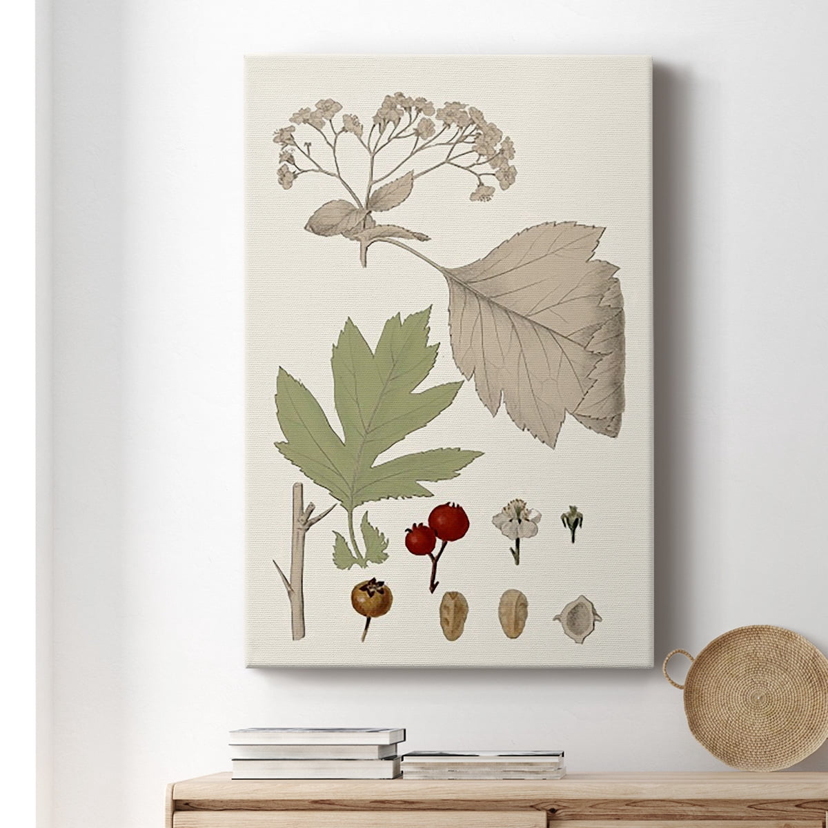 Leaves & Berries II Premium Gallery Wrapped Canvas - Ready to Hang