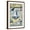 Brown Frame, variant on Art.com Cape Cod, Massachusetts Chart & Views Art Print by Lantern Press, Brown Frame Wall Art, 21" x 29"