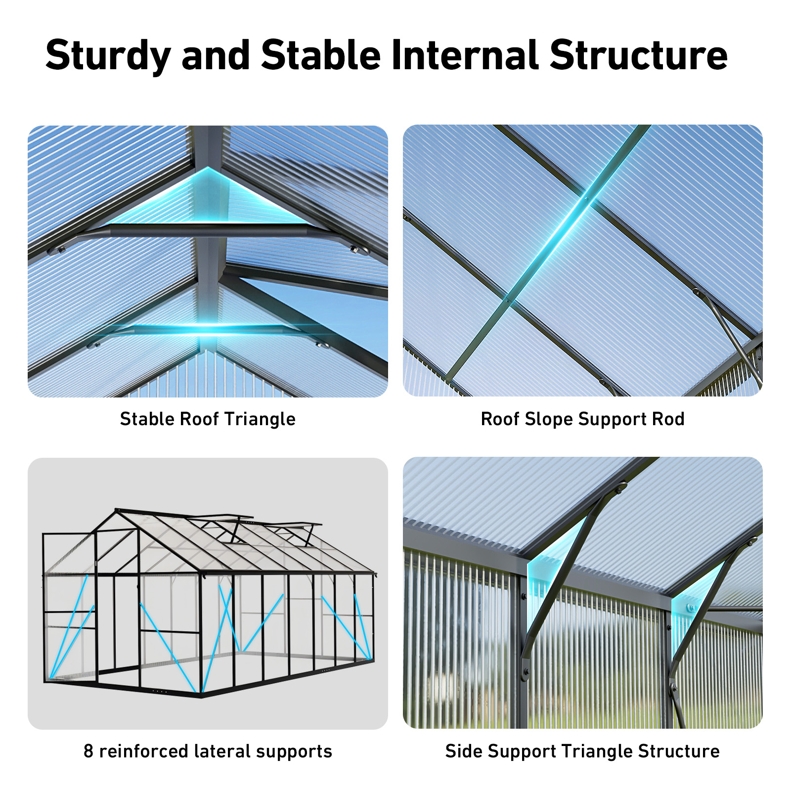 Sylviera 8x10ft Outdoor Walk-in Greenhouse, Heavy-Duty Polycarbonate Green House with Reinforced Aluminum Frame for Garden, Backyard, and Winter Planting