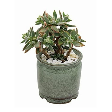 premium succulent planter cache pot, ceramic with decorative patina glaze, kitchen, living room, and home decor, display plants, cactus, or flowers