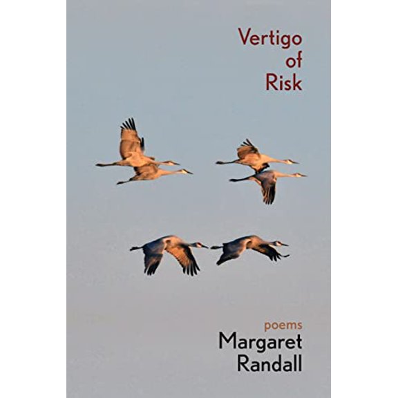 Pre-Owned Vertigo of Risk, 9781956375138, 1956375139, Paperback,