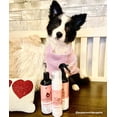 thumbnail image 7 of kin+kind Waterless Dry Shampoo for Dogs - Rinse-Free, Eliminate Itch and Odor, Natural Formula with Witch Hazel, Coconut Oil, Olive Oil and Grapefruit - Made in USA, 7 of 7
