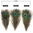 thumbnail image 2 of 30PCS Peacock Feathers 10-12 Inch, Green Peacock Eye Feathers for DIY Crafts Art Halloween Mardi Gras Masquerade Costume Wedding Home Party Christmas Decorations, 2 of 7