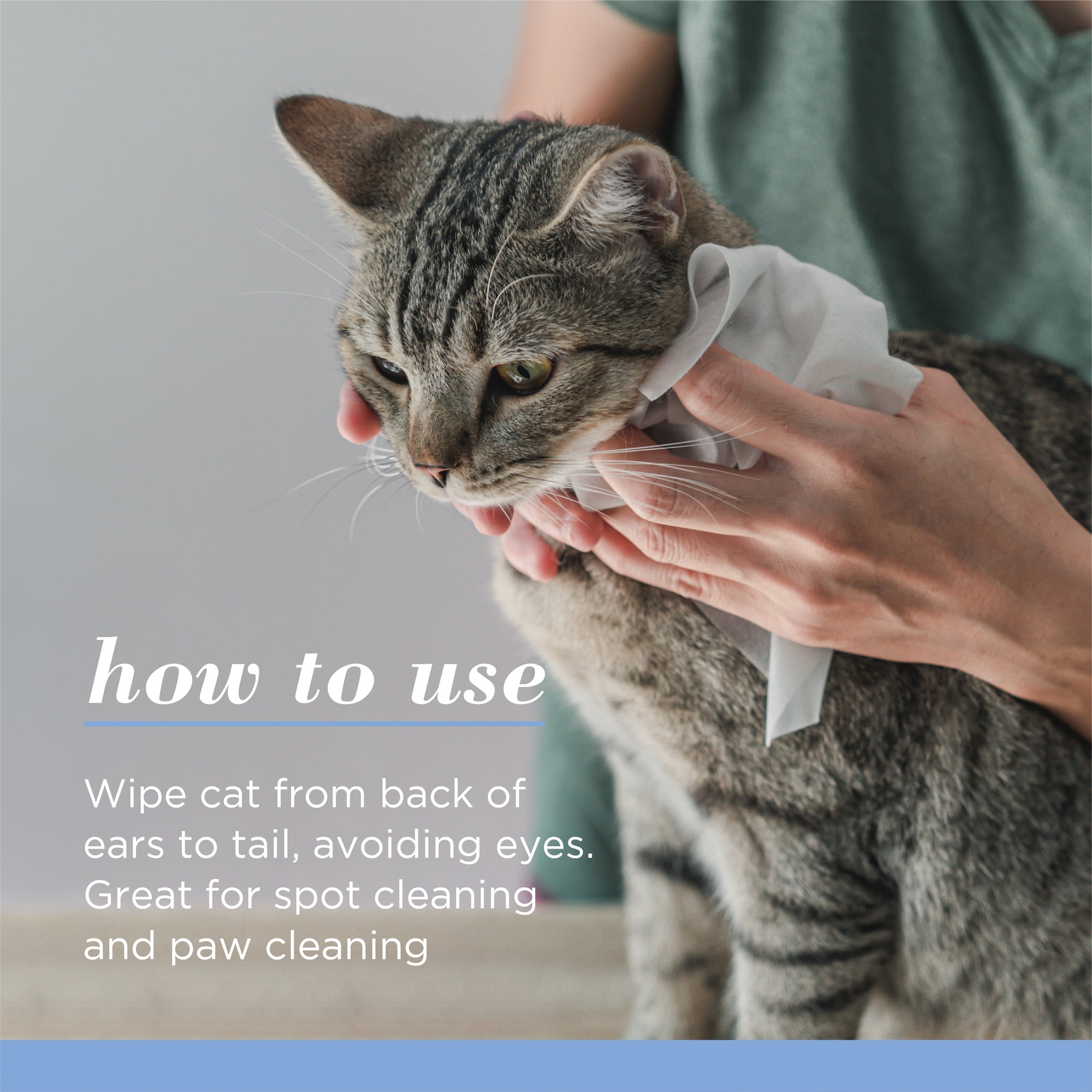 Lingettes pour chatons Burt's Bees - 50 unités