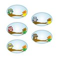 thumbnail image 1 of Fun Express - Étiquettes de Nom de Hibou (100ct) - Papeterie - Autocollants - Étiquettes de Nom - 1 Pièce, 1 of 1
