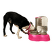thumbnail image 4 of Dispensador Bloosom  Comedero Y Bebedero 2 En 1 Mascotas Perros Gatos Rosa Chicle, 4 of 4