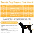 thumbnail image 7 of 3 Pack Dog Diapers Female Reusable Dog Diapers for Female Dogs, Absorbent Washable Dog Diapers Dog Panties for Dogs in Heat or Excitable Urination S, 7 of 7