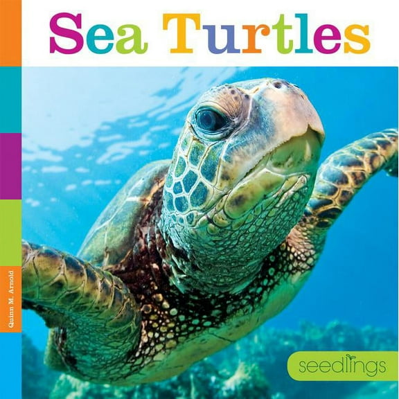 Seedlings: Seedlings: Sea Turtles (Paperback)