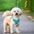 thumbnail image 4 of BARKBAY No Pull Dog Harness Large Reflective Dog Harness with Front Clip and Easy Control Handle for Walking Training Running with ID tag Pocket(Blue,S), 4 of 11