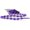 Purple Haze, variant on Caterpy Run - The Ultimate Elastic No Tie Shoelaces for Adults and Kids (Purple Haze, Standard: 30in / 75cm)