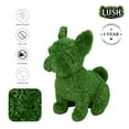 thumbnail image 3 of Lush Estate Turf Topiary French Bulldog, 13", Lifelike Artificial Grass Decor, 3 of 6