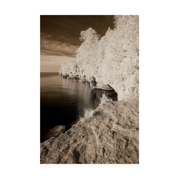 Trademark Fine Art 'Forest Coastline Sepia' Canvas Art by Monte Nagler