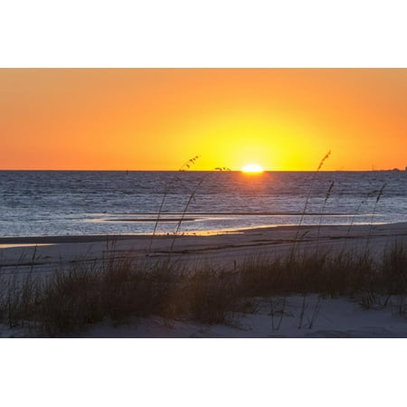 USA, MS, Bay St Louis. Sun Sets Gulf of Mexico. Beach Grasses Print Wall Art By Trish