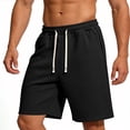 thumbnail image 3 of Fengqque Men's Shorts Elastic Waist Drawstring Plus Size Summer Beach Shorts with Pockets Hiking Shorts Black XXXXL(XXXXL), 3 of 6