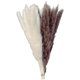 thumbnail image 4 of 2x 15 Piezas de Hierba de Pampa Seca Natural - Plumas de Caña de 17.7 Pulgadas, Ramo de Flores Secas Arreglos Boho Hogar Boda Cocina Oficina Decoració Sunnimix Hierba de pampa seca, 4 of 8