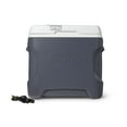 thumbnail image 1 of Igloo 28 quart Versatemp Electric Cooler, 26.5 liters, grey, 1 of 7