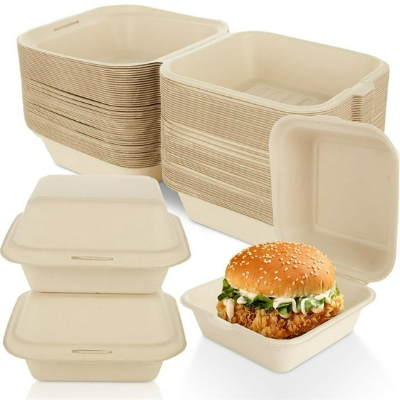 20 Pcs Square Hinged Take Out Containers Beige Paper Pulp Clamshell Food Containers Biodegradable Single Compartment Packing Box for Lunch Sandwiches Salad Cake Fruits By Scheam