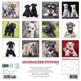 thumbnail image 2 of Schnauzer Puppies 2026 Wall Calendar, 2 of 5