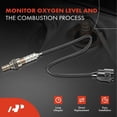 thumbnail image 2 of A-Premium O2 Oxygen Sensor Replacement for Dodge Dakota Durango Intrepid Stratus Sebring Concorde 300M Jeep Plymouth 2-PC Set Fits select: 2000-2001 DODGE RAM 1500, 2000-2001 DODGE RAM 2500, 2 of 9