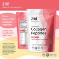 thumbnail image 3 of Polvo de péptidos de colágeno Zint (32 oz): Suplemento de proteína de colágeno hidrolizado alimentado con pasto, apto para paleo, certificado cetogénico, sin sabor, sin OGM, 3 of 5