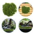 thumbnail image 2 of Musgo artificial para plantas en macetas, decoración de césped sintético para interiores, manualidades, terrario y jardín de hadas, musgo decorativo para centros de mesa, plantas artísticas, 2 of 6