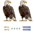 thumbnail image 5 of Hariumiu Owl Pendant Bird Repellent Sure Here's A Product Title for 1 Set Effective with Double-sided Printed Ornament Garden Patio Windowsplease Note That, 5 of 8