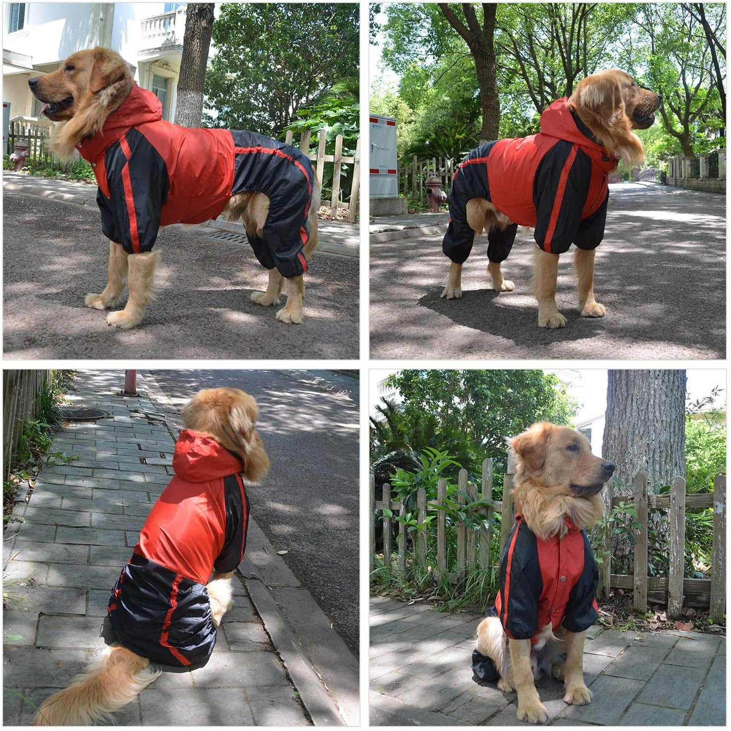Border collie raincoat deals
