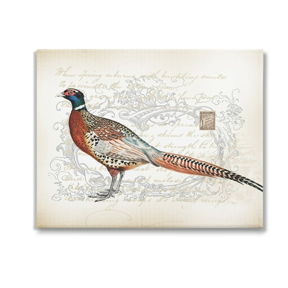 Stupell Industries Pheasant & Vintage Pattern Animals & Insects Painting Gallery Wrapped Canvas Art Print Wall Art, 20 x 16