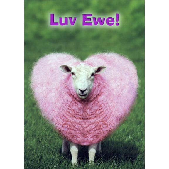 RSVP Luv Ewe Humorous : Funny Valentine's Day Card