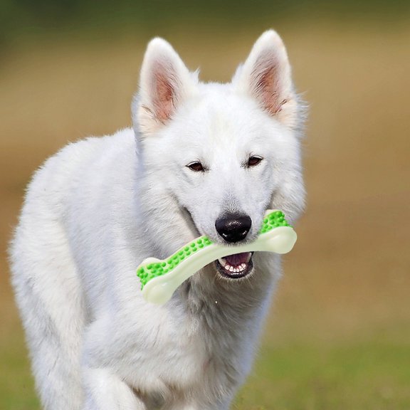 OULII Chew Toy for Bone Toy PU Green Training Indoor Use 1Set