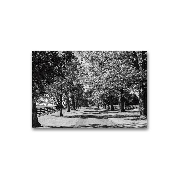 Dirve Way With Tree Orchard Poster -Image by Shutterstock