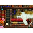 thumbnail image 2 of Eurographics : Puzzle 500 pcs The Cat Nap, 2 of 2