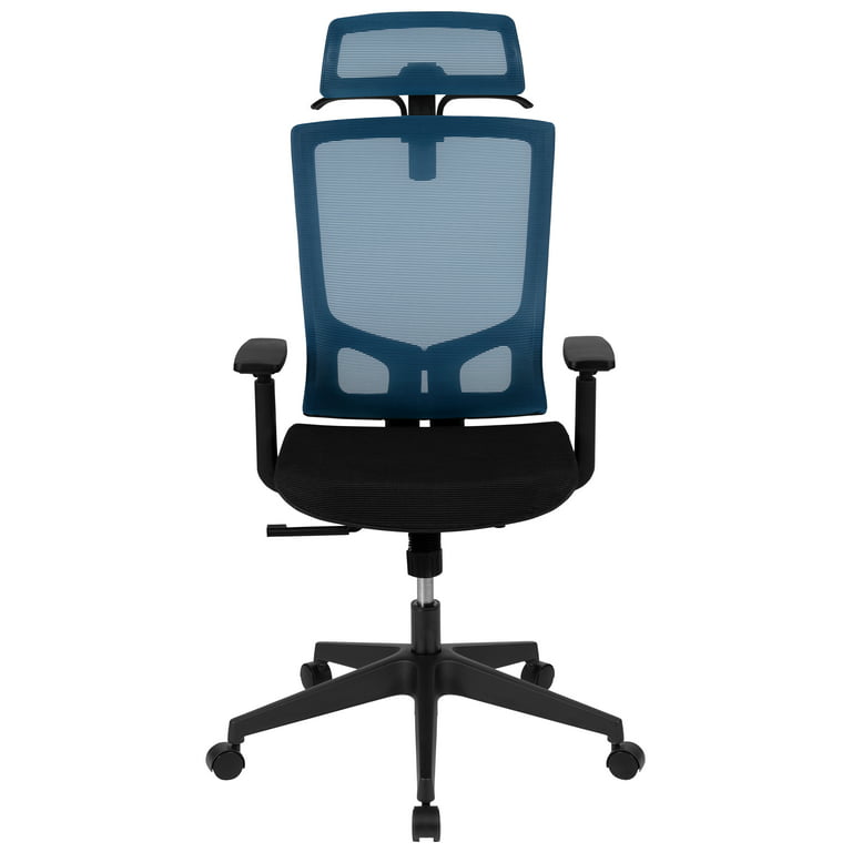 Aeromat Adjustable Yoga Ball Office Chair with Lumbar Support