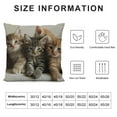thumbnail image 5 of Patifu   Cute Cats Decorative Throw Pillow Cover Case, Kittens Family Cats   Outdoor Pillow Cases Square Standard Cushion Cover for Sofa Couch Bed Car   20x20in, 5 of 5