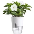 thumbnail image 5 of Balcony Garden Auto Irrigate Office Succulents Garden Supplies Hydroponic Decoration Flower Pots Plant Pot Home Decor Planters 15X18CM WHITE, 5 of 8