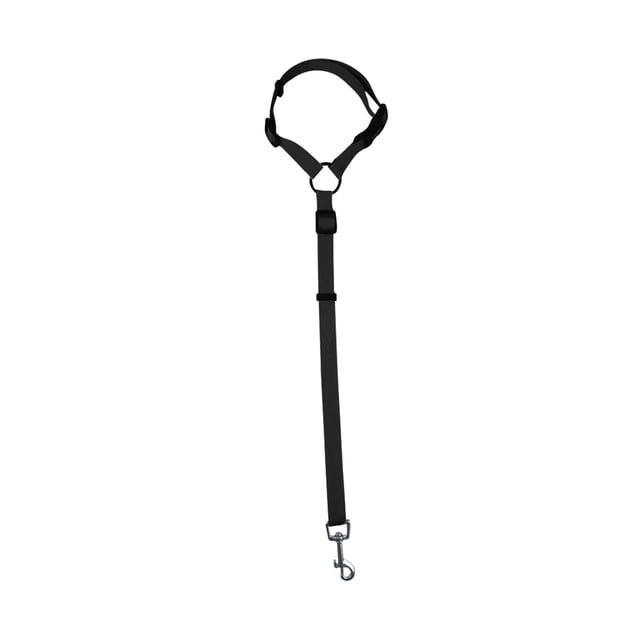 Agiferg Pet Car Safety Rope Ring Dog Car Safety Belt Rear Traction Belt Traction Rope