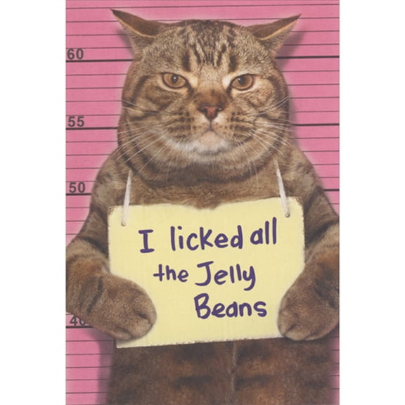 Recycled Paper Greetings Cat Mugshot: I Licked All the Jelly Beans Humorous / Funny Easter Card
