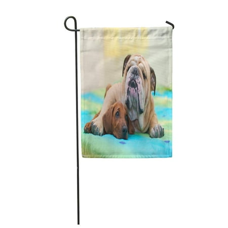 LADDKE Ridgeback Puppy and English Bulldog Best Dog Friends Relaxing Garden Flag Decorative Flag House Banner 12x18