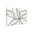 thumbnail image 4 of Trademark Fine Art uplusmestudio Fragile Flower Canvas Wall Art, 4 of 4