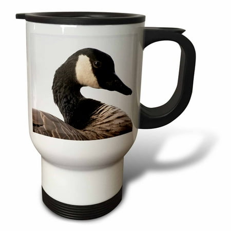 3drose, a Canada Goose (branta Canadensis), Bird - Na02 Rbr0001 - Rick A. Brown, 14oz Stainless Steel Travel Mug
