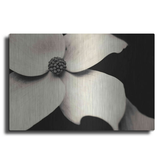 Luxe Metal Art 'Dogwood Flower' by Gary Horsfall, Metal Wall Art, 24"x16"