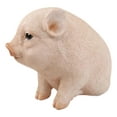 thumbnail image 4 of Ebros Rustic Adorable Animal Farm Babe Fat Nude Piglet Pig Sitting Figurine 6"L, 4 of 9