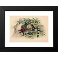 thumbnail image 2 of Joseph Wolf 14x11 Black Modern Framed Museum Art Print Titled - The Bassaris (1861-1867), 2 of 5