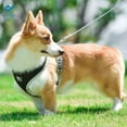 thumbnail image 5 of Deago Polyester & Mesh Striped Non-Pulling Dog Harness, Black, XS (10.2" to 13.3" Chest Size), 5 of 10