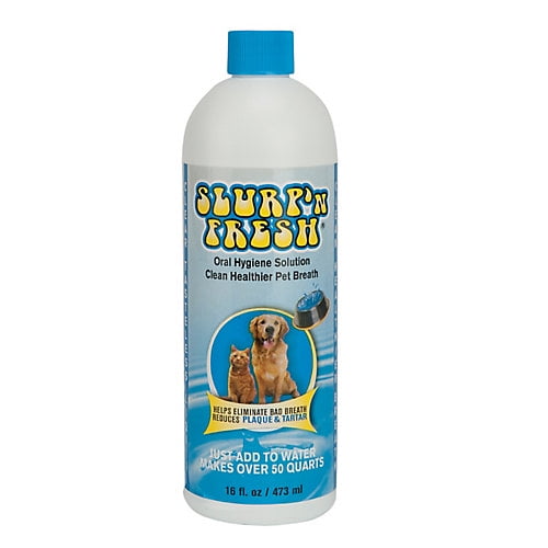bioguard dog shampoo