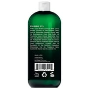 Botanic Hearth Eucalyptus & Tea Tree Body Wash - 16 fl oz - Helps Soothe Skin, Refreshing and Invigorating, Cleansing Shower Gel for Men and Women - Sulfate Free, Paraben Free